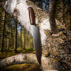 AAR Knive Cheff 21 Kniv